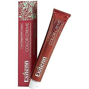 Permanente Kleur Color Creme Exitenn (60 ml)