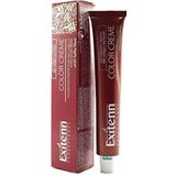 Permanente Kleur Color Creme Exitenn Color Creme Nº 6,1 Dark Ash Blonde (60 ml)