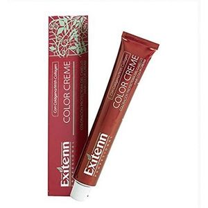Permanente Kleur Color Creme Exitenn Nº 6EX Red Magenta (60 ml)