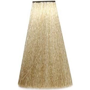 Arual Kleuring nr. 10 Blonde Extraclaire 1 eenheid 60 ml