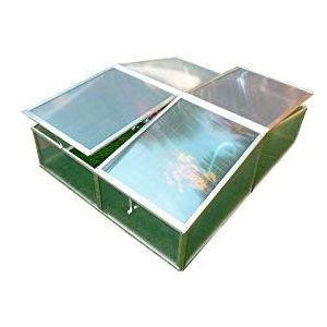 Gewächshaus Gardiun Jaca ii 108x108x40 cm Giebeldach Polycarbonat Transparent