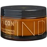 I.C.O.N. India Conditioning Treatment