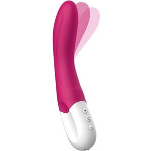 Liebe Pleasure Toys - Bend it G-spot vibrator oplaadbaar seksspeelgoed voor hem en haar, 22 cm - roze