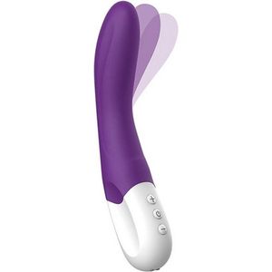 Liebe Pleasure Toys - Bend it G-spot vibrator oplaadbaar seksspeelgoed voor hem en haar, 22 cm - violet