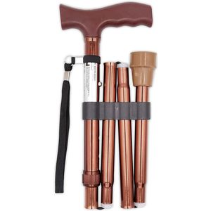 Wandelstok - Opvouwbaar - Zwart - Lichtgewicht - Antislip Voet