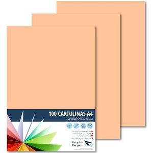 Raylu Paper® A4 100 stuks, vleeskleurig, 180 g, 210 x 297 mm, ideaal voor verband, kantoorwerk, tekenen, knutselen, geschikt voor school. (vlees)
