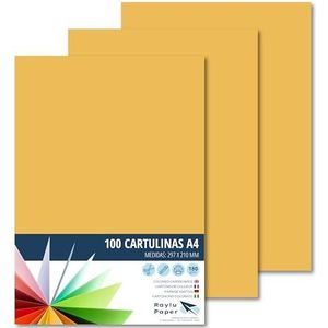 Raylu Paper® 100 stuks A4-kaarten van leer, 180 g, 210 x 297 mm, ideaal voor binden, kantoorwerk, tekenen, knutselen voor schoolgebruik (leer)