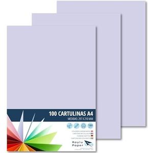 Raylu Paper® A4 100 stuks paars 180 g 210 x 297 mm ideaal voor boekbinders, kantoorwerk, tekenen, knutselen, school geschikt (paars)