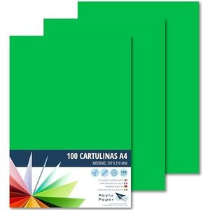 Raylu Paper® A4 100 stuks groen 180 g, 210 x 297 mm, ideaal voor binden, kantoorwerk, tekenen, knutselen, school (groen biljart)