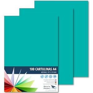 Raylu Paper® A4 100 stuks groen 180 g, 210 x 297 mm, ideaal voor boekbinders, kantoorwerk, tekenen, knutselwerk, dozen geschikt voor school. (mintgroen)