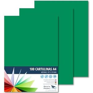Raylu Paper® A4 100 stuks groen 180 g 210 x 297 mm ideaal voor boekbinders, kantoorwerk, tekenen, knutselen, school geschikt (grenengroen)