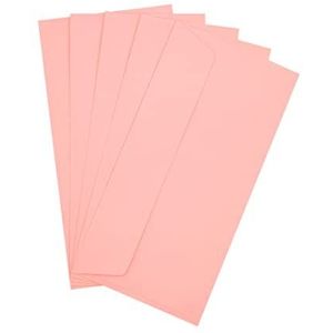 Raylu Paper® - 20 gekleurde enveloppen met lijm en zonder venster, voor geschenken voor feest, bruiloft, verjaardag of Kerstmis - gekleurde enveloppen maat DL 110 x 220 mm (roze)