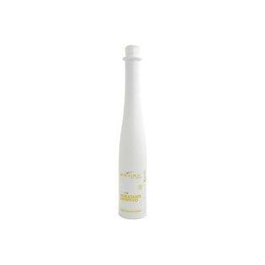 Vochtinbrengende Shampoo Voltage (450 ml)
