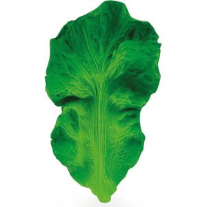 Oli & Carol Kendall the Kale