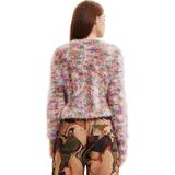 Desigual - Veelkleurig - Longsleeve - Ronde Halslijn - Dames