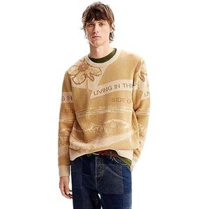 Desigual Jers_John Sweatshirt voor heren, Bruin, L