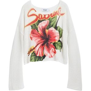 Desigual - Trui 'Sabrina' - Gemengde Kleuren - Lange Mouw