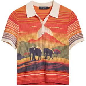 Polo-Shirt Damen Desigual Himalaya