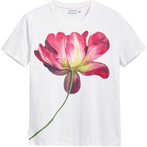 Desigual - T-shirt - Zwart - Katoen