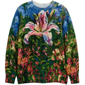 Desigual - Gebreide Trui - Multi