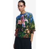 Desigual - Gebreide Trui - Multi