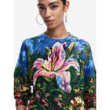 Desigual - Gebreide Trui - Multi