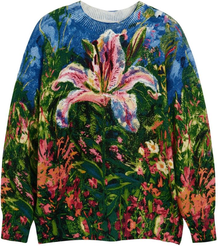 Desigual - Gebreide Trui - Multi