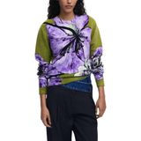 Desigual - Floral Knitwear - Groen - Dames - Lange Mouwen - Ronde Hals