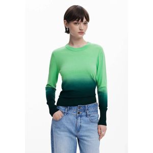 Desigual - Gebreide Trui - Limegroen