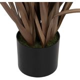 Decoratieve plant PVC Staal Cement 10 x 10 x 9 cm 61 cm