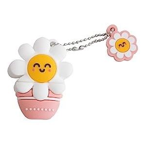 WONDEE Mr Wonderful geschenken, originele USB-stick 32 GB van madeliefje, origineel cadeau voor vrouwen en meisjes, originele hanger om cadeau te geven, originele technologische gadgets