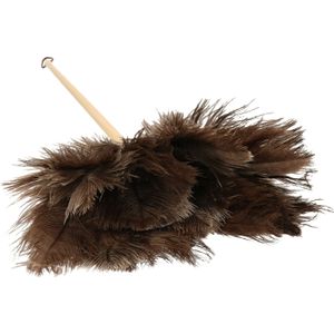 Gerimport - Plumeau - Beige - Hout - Struisvogelveren