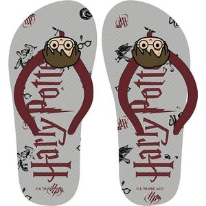 CERDÁ LIFE'S LITTLE MOMENTS - Uniseks kindersandalen met Harry Potter-print en extra ondersteuning op de hiel zomer EVA-zool - officiële licentie Warner Bros, Grijs, 29 EU