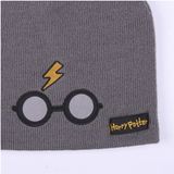 Kindermuts Harry Potter Grijs (Één maat)