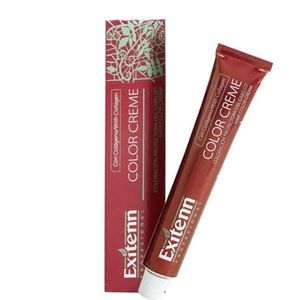 Exitenn Colorant Permanent Color Creme 60 ml N°93-ex