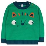 Tuc Tuc - Trecking Time - Gebreide Trui - Groen - Beren- en Knoopprint