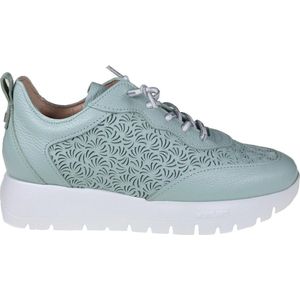 Wonders, Schoenen, Dames, Blauw, 37 EU, Leer, Geperforeerde zomer sneaker - Blauw