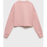 MANGO KIDS - CHAPTER - Sweatshirt - Rosa - Lange Mouw