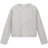 MANGO KIDS - Trui - Grijs Gemêleerd - Lange Mouw - Normale Pasvorm