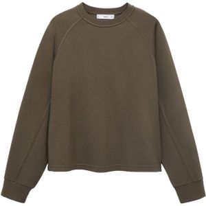 MANGO Sweatshirt 'FLORIDA'  bruin