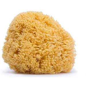 Suavinex Natuurlijke zeespons voor baby's, groot formaat, 100% natuurlijke babyspons