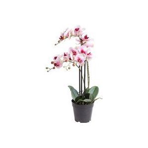 Kunst Phalaenopsis Orchidee In Pot 60 cm - Roze