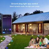 CP01 Outdoor WIFI Smart APP Controle Tuinlamp Muziek Sync Buitengrondverlichting (EU-stekker)