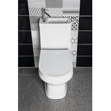 Aqualine Hygie rimfree staand toilet met wastafel wit