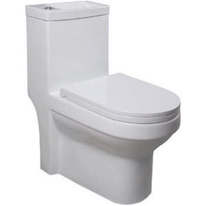 Aqualine Hygie rimfree staand toilet met wastafel wit