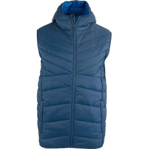 Alpine Pro Huran Vest Blauw Man