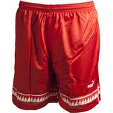 Puma - Red M - Sport Shorts - Ademend - Lichtgewicht - Herenmodel