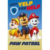Jerry Fabrics - Paw Patrol - Fleecedeken - Paw Patrol Design - 100 x 150 cm