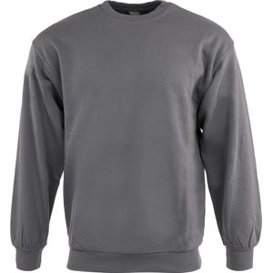 Men' sweatshirt promodoro hunting grey