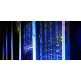 WD - Gold - Harde Schijf - Goud - 16 TB - SATA